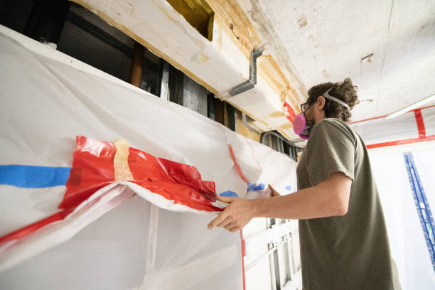 Best Black Mold Removal  in Lake Helen, FL