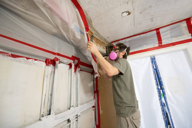 Best Airborne Mold Testing  in Lake Helen, FL