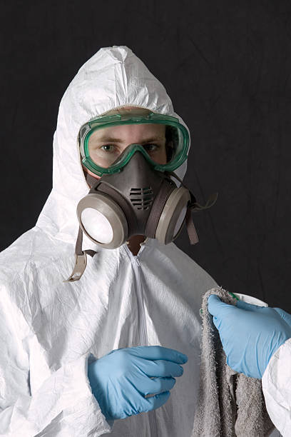 Best Asbestos and Lead Testing During Mold Inspection  in Lake Helen, FL